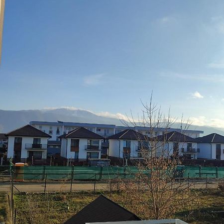 Marina'S House Daire Ghimbav Dış mekan fotoğraf