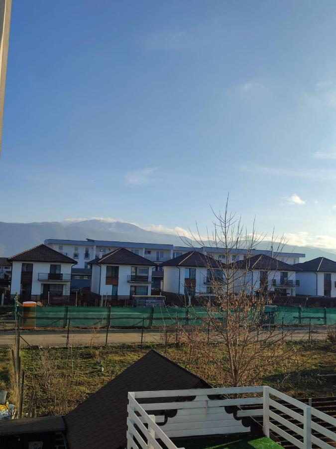 Marina'S House Daire Ghimbav Dış mekan fotoğraf