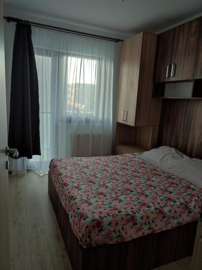 Marina'S House Daire Ghimbav Dış mekan fotoğraf