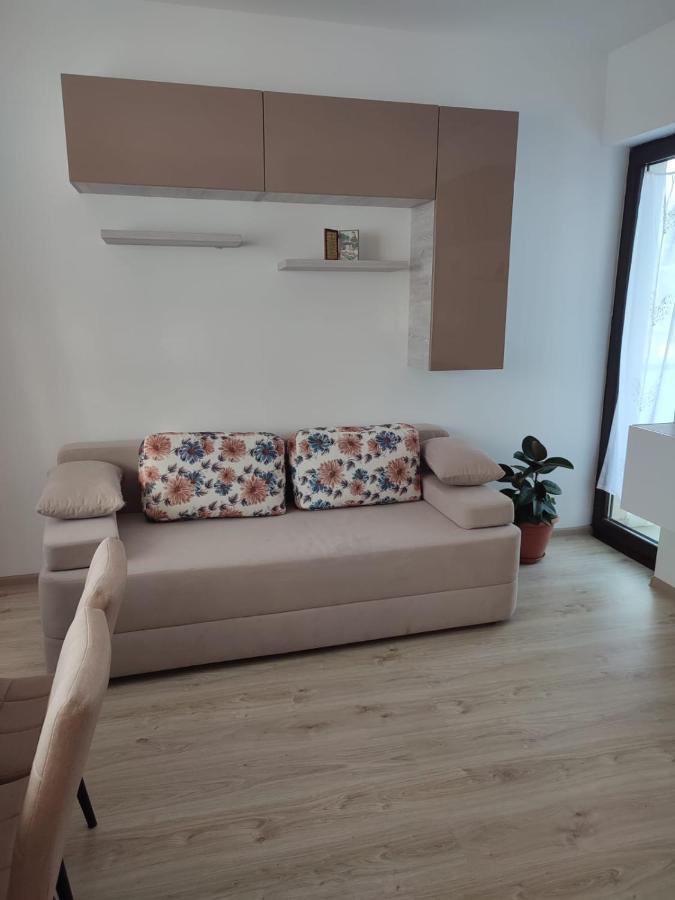 Marina'S House Daire Ghimbav Dış mekan fotoğraf